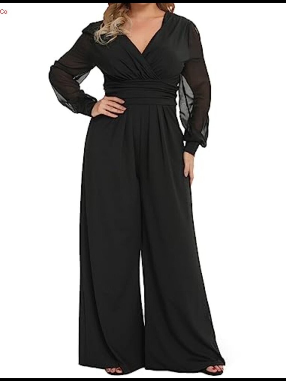 Plus Size Mesh Long Sleeve V Neck Wide Leg Jumpsuit One Piece